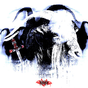 国产男生夜间福利
