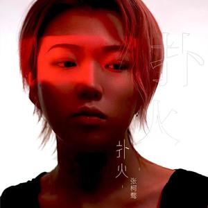 国产男生夜间福利
